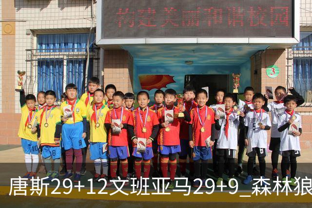 唐斯29+12文班亚马29+9 森林狼客场轻取马刺